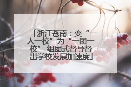 浙江苍南：变“一人一校”为“一团一校” 组团式督导督出学校发展加速度