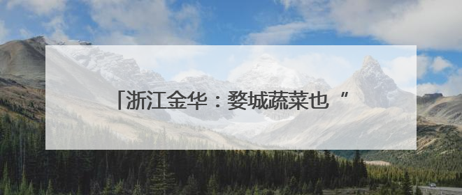 浙江金华：婺城蔬菜也“坐”上了飞机，无人机为乡村振兴插上“翅膀”