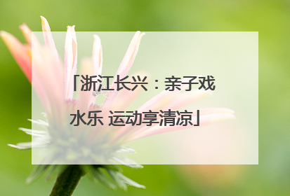 浙江长兴：亲子戏水乐 运动享清凉