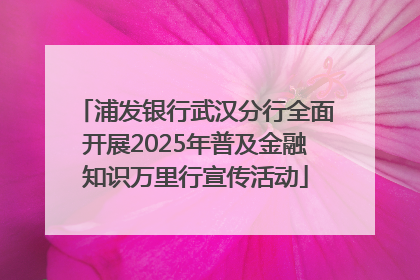 浦发银行武汉分行全面开展2025年普及金融知识万里行宣传活动