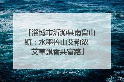 淄博市沂源县南鲁山镇：水墨鲁山艾韵浓 艾草飘香共富路