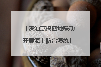 深汕惠揭四地联动开展海上防台演练