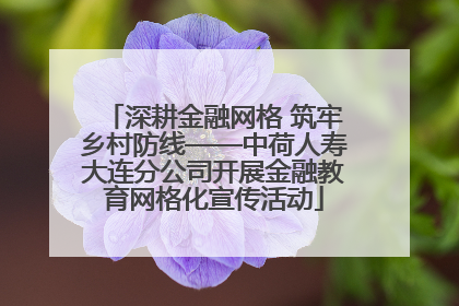 深耕金融网格 筑牢乡村防线——中荷人寿大连分公司开展金融教育网格化宣传活动