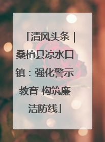 清风头条｜桑植县凉水口镇：强化警示教育 构筑廉洁防线