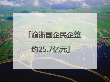 渝浙国企民企签约25.7亿元