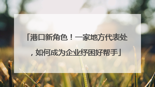 港口新角色！一家地方代表处，如何成为企业纾困好帮手