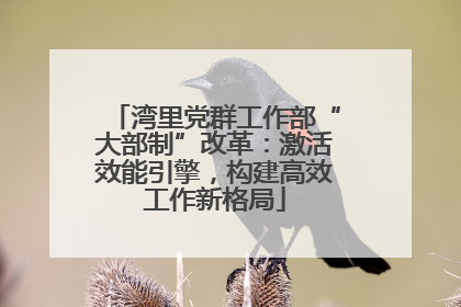 湾里党群工作部“大部制”改革：激活效能引擎，构建高效工作新格局