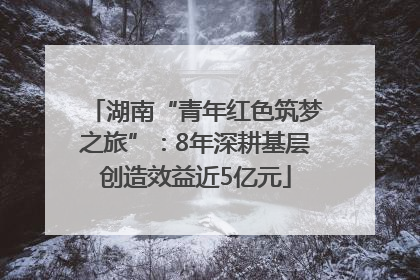 湖南“青年红色筑梦之旅”：8年深耕基层创造效益近5亿元