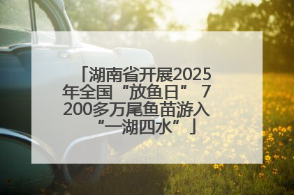 湖南省开展2025年全国“放鱼日” 7200多万尾鱼苗游入“一湖四水”