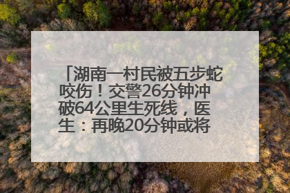 湖南一村民被五步蛇咬伤！交警26分钟冲破64公里生死线，医生：再晚20分钟或将呼吸肌麻痹
