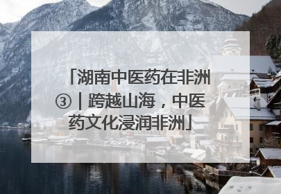 湖南中医药在非洲③｜跨越山海，中医药文化浸润非洲