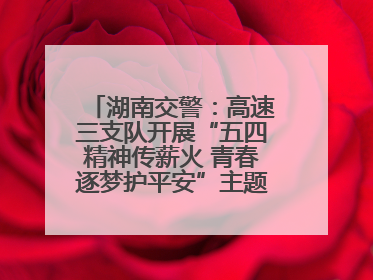 湖南交警：高速三支队开展“五四精神传薪火 青春逐梦护平安”主题实践活动