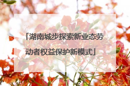 湖南城步探索新业态劳动者权益保护新模式