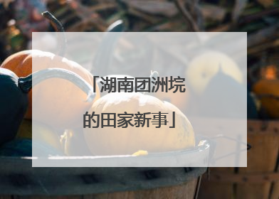 湖南团洲垸的田家新事