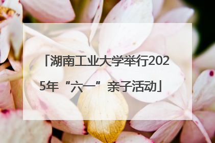 湖南工业大学举行2025年“六一”亲子活动