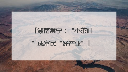 湖南常宁：“小茶叶”成富民“好产业”