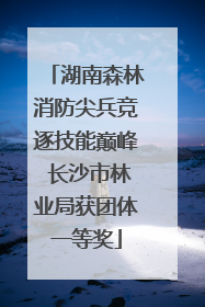湖南森林消防尖兵竞逐技能巅峰 长沙市林业局获团体一等奖