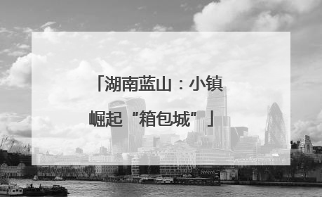 湖南蓝山：小镇崛起“箱包城”