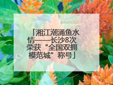 湘江潮涌鱼水情——长沙8次荣获“全国双拥模范城”称号
