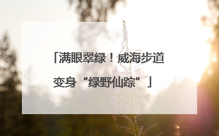满眼翠绿！威海步道变身“绿野仙踪”
