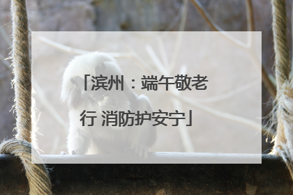 滨州：端午敬老行 消防护安宁