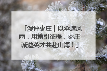 漫评枣庄｜以伞遮风雨，用策引征程，枣庄诚邀英才共赴山海！
