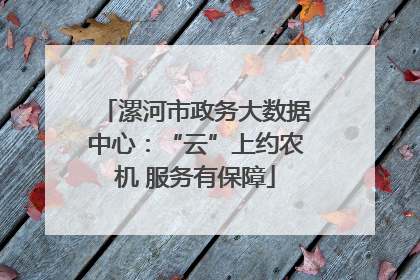 漯河市政务大数据中心：“云”上约农机 服务有保障