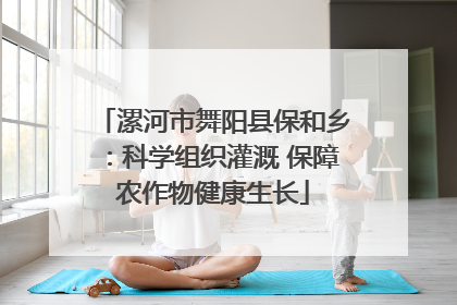 漯河市舞阳县保和乡：科学组织灌溉 保障农作物健康生长