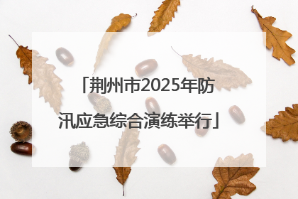 荆州市2025年防汛应急综合演练举行