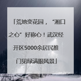 荒地变花园，“湘口之心”好称心！武汉经开区5000余居民推门见绿满眼风景