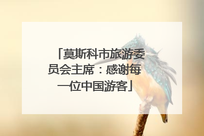 莫斯科市旅游委员会主席：感谢每一位中国游客