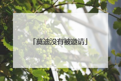 莫迪没有被邀请