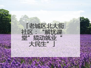 老城区北大街社区：“解忧课堂”撬动就业“大民生”