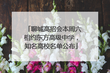 聊城高招会本周六相约东方高级中学，知名高校名单公布