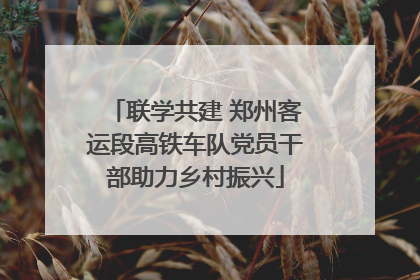 联学共建 郑州客运段高铁车队党员干部助力乡村振兴