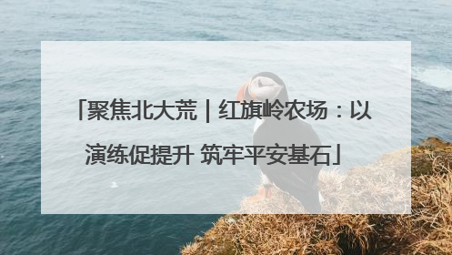 聚焦北大荒｜红旗岭农场：以演练促提升 筑牢平安基石
