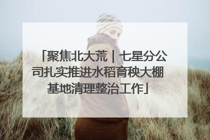 聚焦北大荒｜七星分公司扎实推进水稻育秧大棚基地清理整治工作