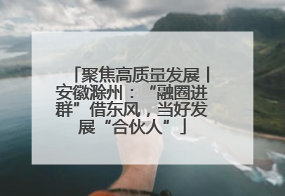 聚焦高质量发展丨安徽滁州：“融圈进群”借东风，当好发展“合伙人”