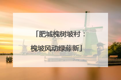 肥城槐树坡村：槐坡风动绿藤新
