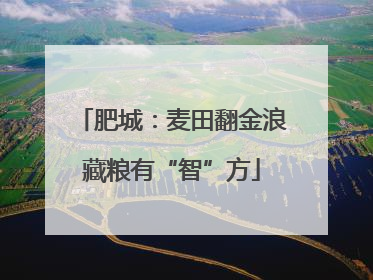 肥城：麦田翻金浪藏粮有“智”方