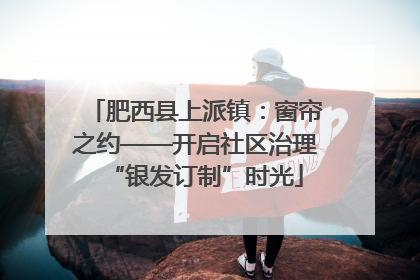 肥西县上派镇：窗帘之约——开启社区治理“银发订制”时光