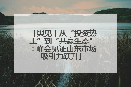 舆见丨从“投资热土”到“共赢生态”：峰会见证山东市场吸引力跃升