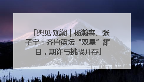 舆见·观潮｜杨瀚森、张子宇：齐鲁篮坛“双星”耀目，期许与挑战并存