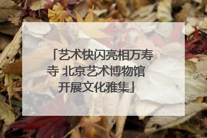 艺术快闪亮相万寿寺 北京艺术博物馆开展文化雅集