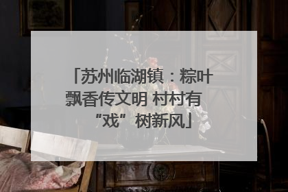 苏州临湖镇：粽叶飘香传文明 村村有“戏”树新风