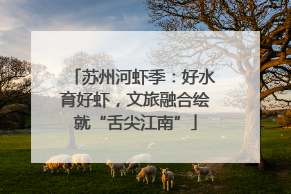 苏州河虾季：好水育好虾，文旅融合绘就“舌尖江南”