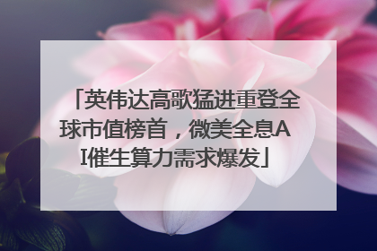 英伟达高歌猛进重登全球市值榜首，微美全息AI催生算力需求爆发