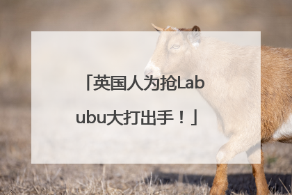 英国人为抢Labubu大打出手！
