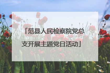 范县人民检察院党总支开展主题党日活动