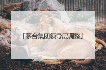 茅台集团领导层调整